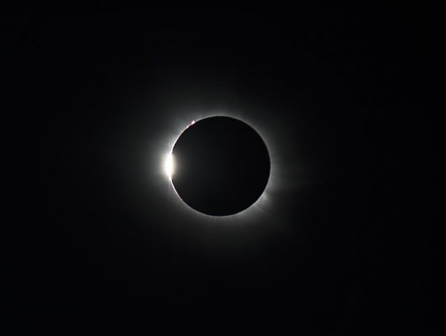 ガル√°パゴス諸島の動植物 - ガル√°パゴス諸島の特徴